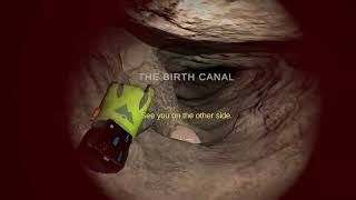 Cavecrave all tapes nutty putty cave