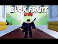 LIVE🔴BLOX Fruits LIVE - PvP , Levi Hunt , Sea Events , Chat and More :)
