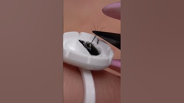 Explore the Ideal Lash Curl Combination: C and L Curl  #lashextensions