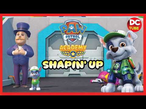 PAW Patrol Academy NETFLIX - Episodes Shapin' Up with Rocky ! #netflixgaming