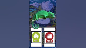 How to generate POKEMON using AI 🧠 #2 TikTok Edit 🕸️🥊🐊