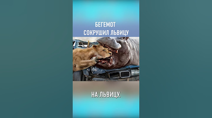 Львица Напала на Бегемота и Поплатилась #shorts