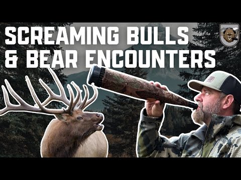The Bear Archery Podcast Ep. 221: WESTERN FEELS