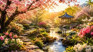 🌸 Spring Serenity | 1 Hour Relaxing Music &amp; Peaceful Nature Ambience #nature #relaxing
