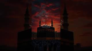 Ya ibadi allazina amanu | Soothing Quran Recitation by Abdul Rahman Mossad | Heart-Touching Verse\
