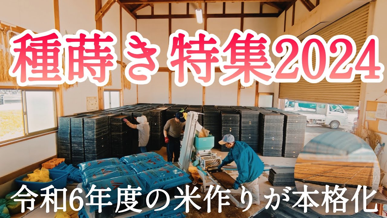Seed Sowing Special 2024