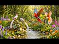 🌿 Spring Forest Bird Sounds &amp; Gentle Piano 🎹 Calming Nature Ambience for Stress Relief &amp; Peace