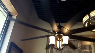 Ceiling Fans at a Lighting Store (Minka Aire, Faniamtion, Regency, & Kitchler)