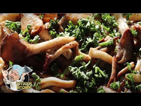 Video: Wie Man Austernpilze Kocht