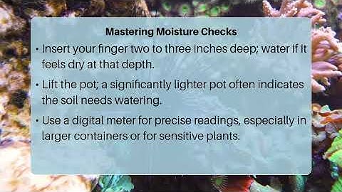 How Do I Check Soil Moisture Level For Plants?