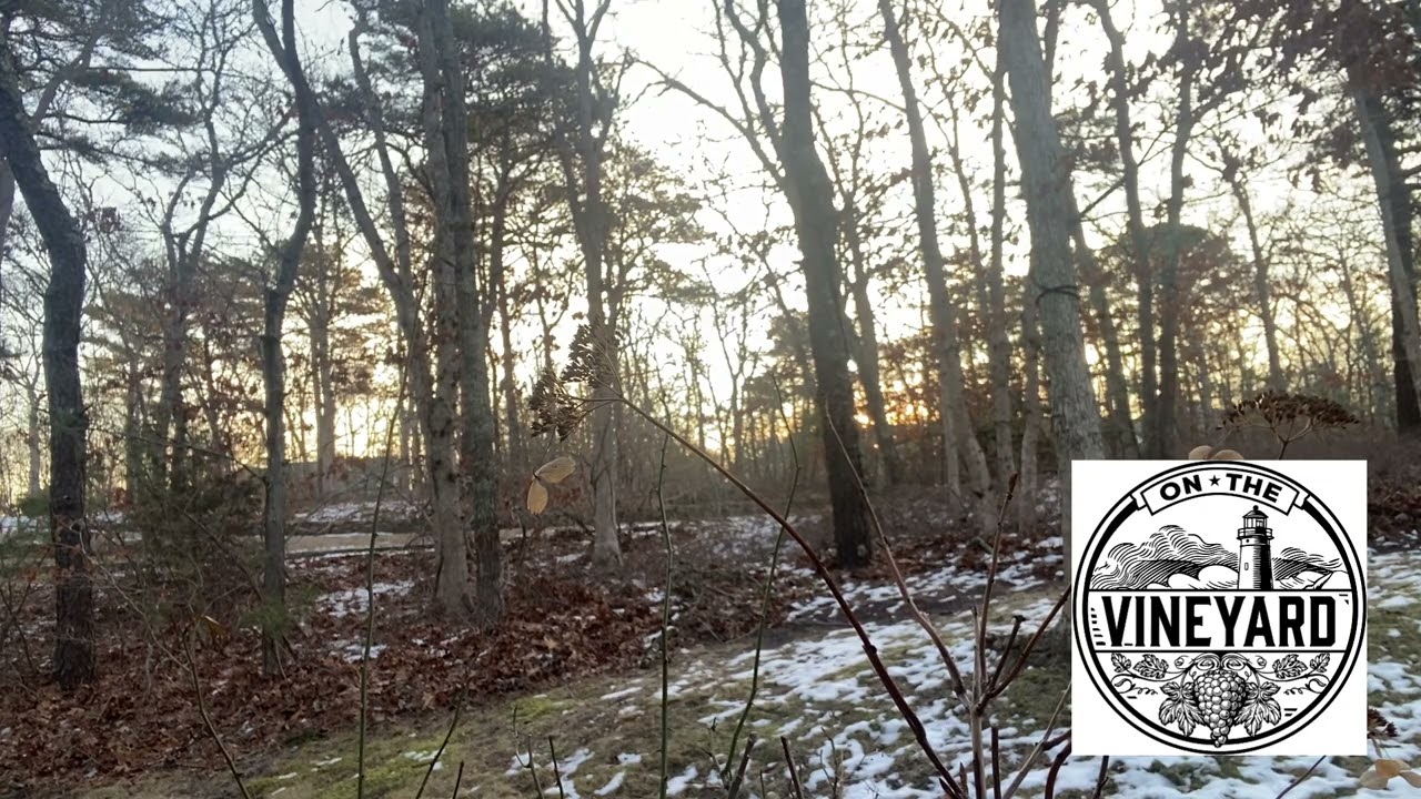 Real Estate Market Shows Strong, Sustained Growth