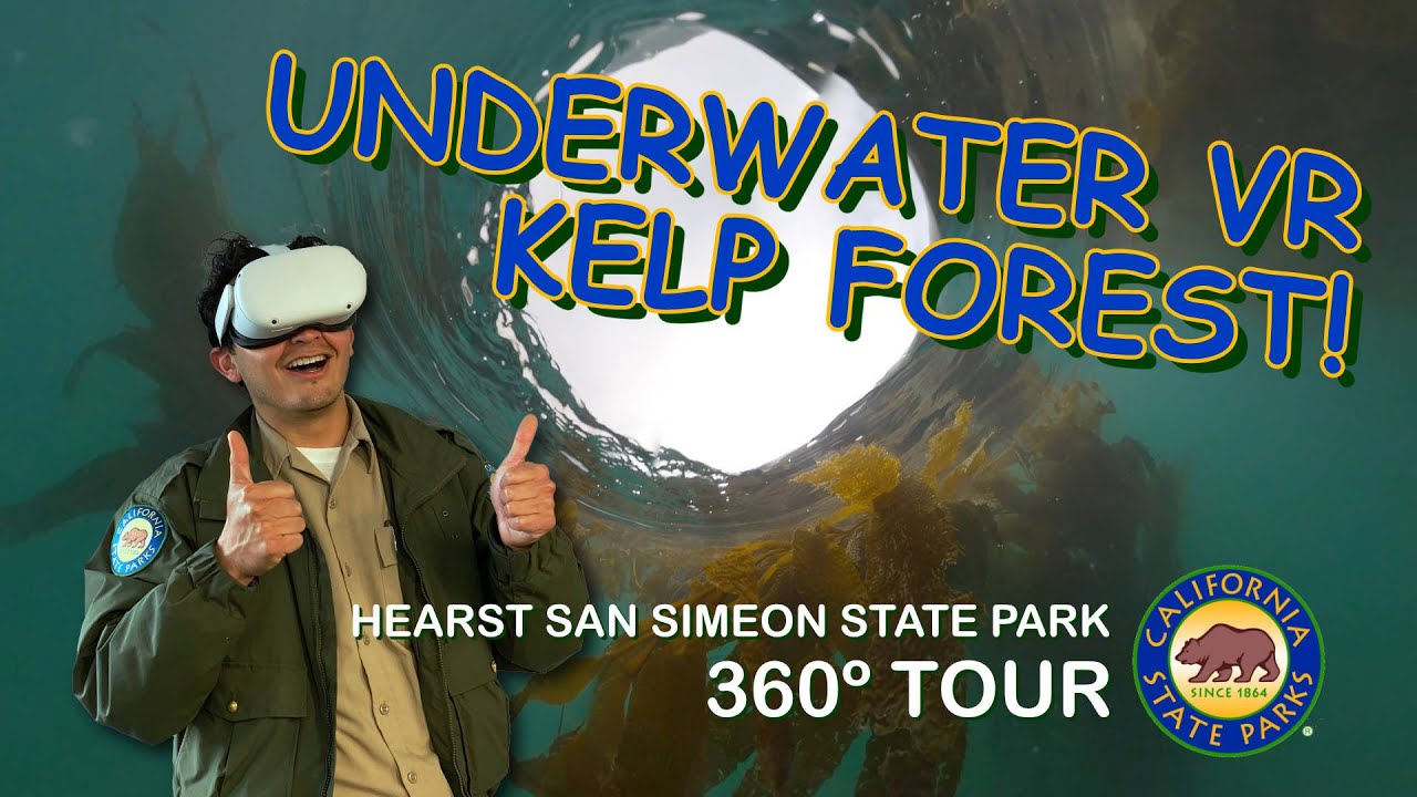 Float Through the Tranquility of Hearst San Simeon’s Kelp Forest in 360º