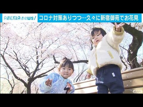 桜の名所 新宿御苑が3カ月ぶり再開 入場制限も 21年3月23日 Youtube