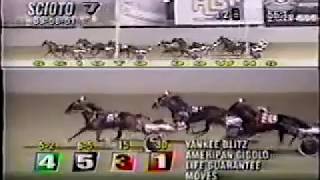 2001 Scioto Downs AMERIPAN GIGOLO Jug Preview $60,700 Tony Morgan