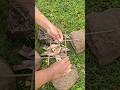 Making a simple fire benchmark