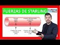 FUERZAS DE STARLING Y EDEMA explicado FÁCIL ✅.