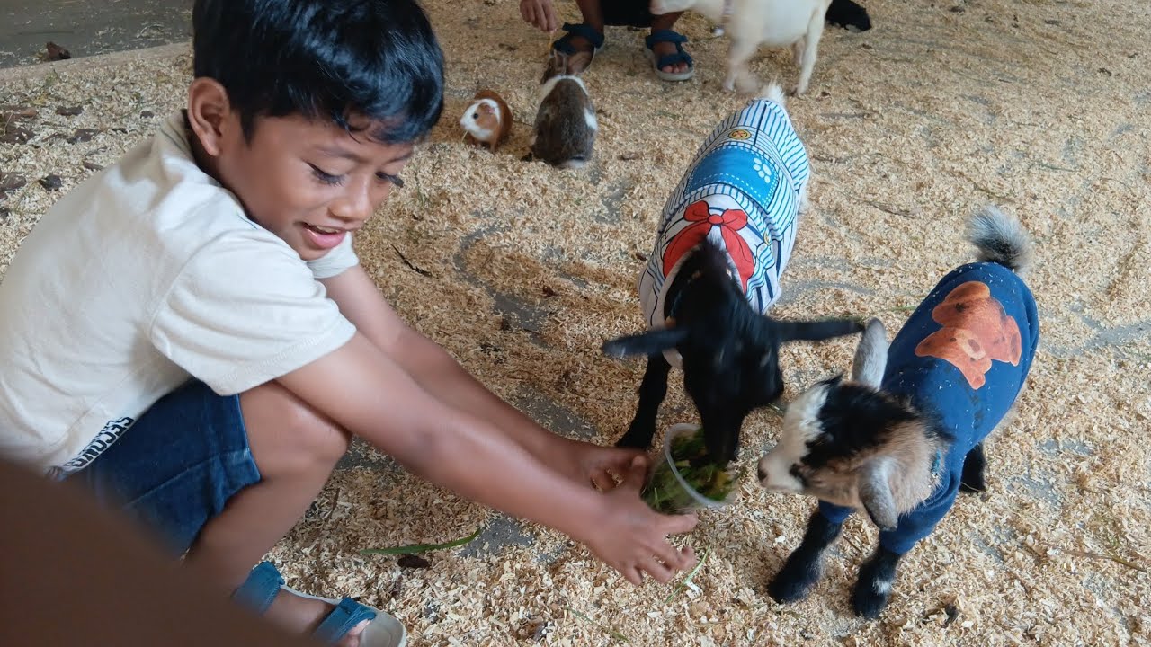 WISATA VIRAL SENTUL 2026 I D'ONTETIK BOGOR I WISATA HITS BOGOR