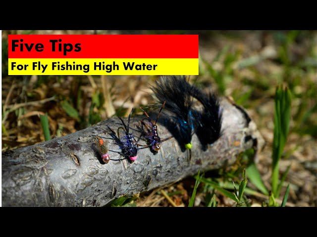 High Water Fly Fishing Tips