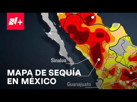 Sequía en México; estos son los estados más afectados - Despierta