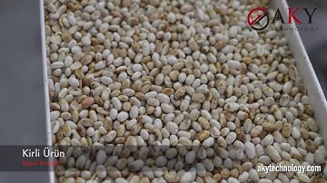 White Bean Color Sorter - AKY Technology