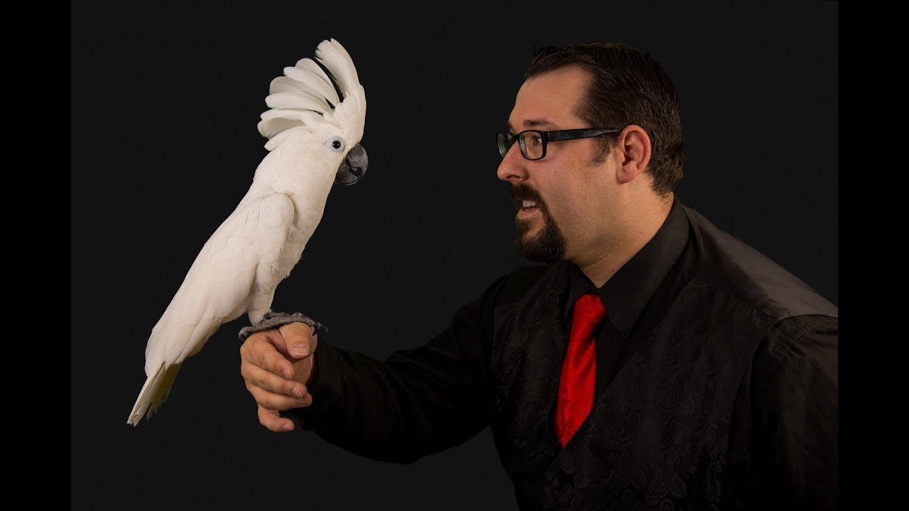 Magic of Elder 2019 Promo Video