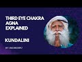 Sadhguru explained third eye chakra  agna chakra absolute clarity