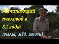 Начинающий пчеловод в 82года:  Пчелы,  Мед,  Итоги