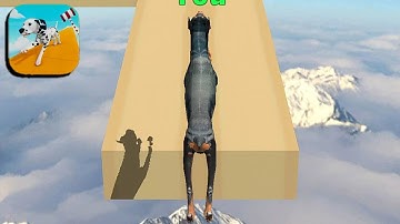 Dog🐕 Run 3D - Fun Race Level - 8 Android IOS Gameplay