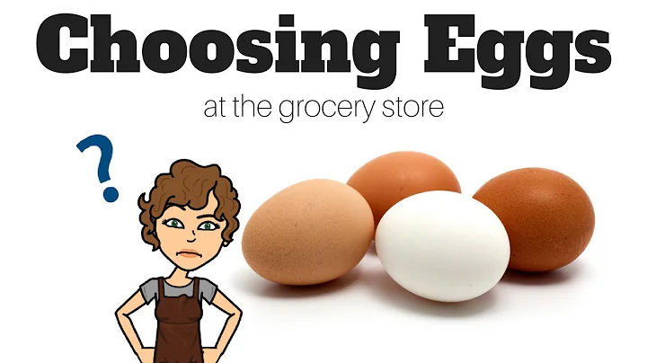 Pasture Raised, Vegetarian Fed, Organic: How to Choose Eggs at the Grocery Store
