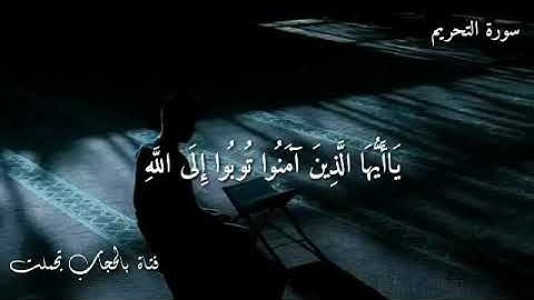 اجمل حالات واتس اب دينيه يا أيها الذين آمنوا توبوا الي الله توبه نصوحا سوره التحريم ❤