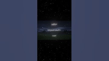 سورة الواقعة|41-42|القارئ:#محمد_اللحيدان #قران #quran #راحة_نفسية #قران_كريم#تلاوة_هادئة#تلاوة_خاشعة