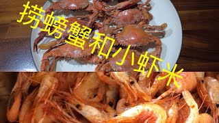 NZ Birkenhead Wharf下蟹笼捞螃蟹和虾米 【NZ Lucy Vlog 89】