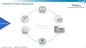 LC-MS/MS for Bioanalytical Peptide and Protein Quantification: Peptide Level Sample Clean-up