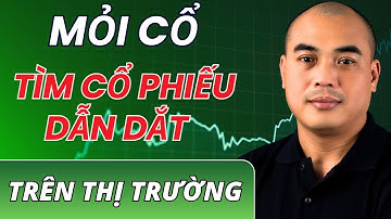 Chứng khoán cuối tuần |  Mỏi cổ đi tìm cổ phiếu DẪN DẮT thị trường ?
