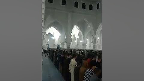 صلاة التراويح |القارئ أسامة عياد -آل عمران رمضان 2024م " مسجد محمد الخامس (الفنيدق)