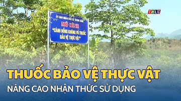 Nâng cao nhận thức sử dụng thuốc bảo vệ thực vật trong sản xuất nông nghiệp | THLC