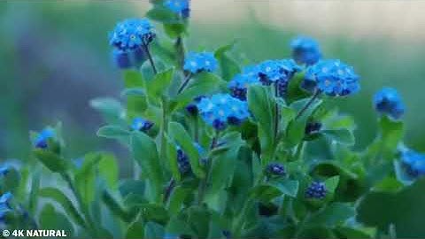 قرآن كريم | تلاوة عطرة من الذكر الحكيم