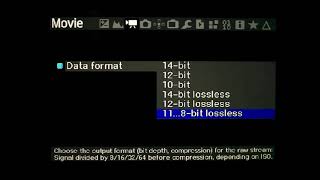 My Magic Lantern RAW settings for Canon 100D (SL1)