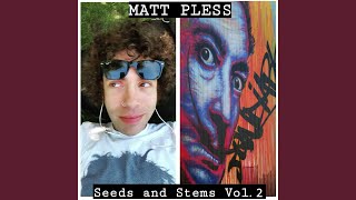 Video thumbnail of "Matt Pless - My Sweet Distraction"