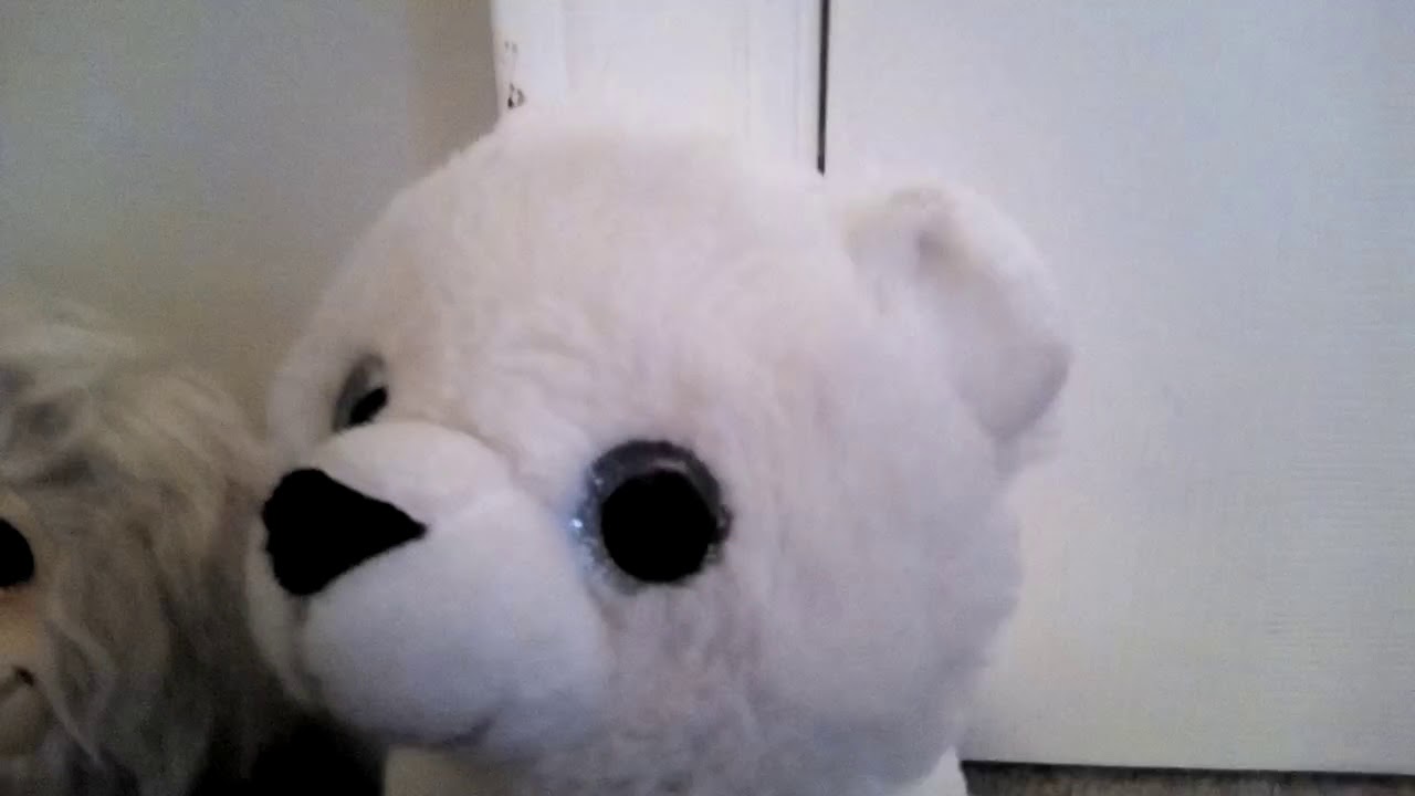 The teenie beanie boos 2 with bananas zinger and YouTube