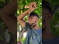 🤗कितना🥰 ख़ूबसूरत साप है कमेंट करें नाम बताओ इस साप का❤️#viral #shots #video #snake #lover #reptiles