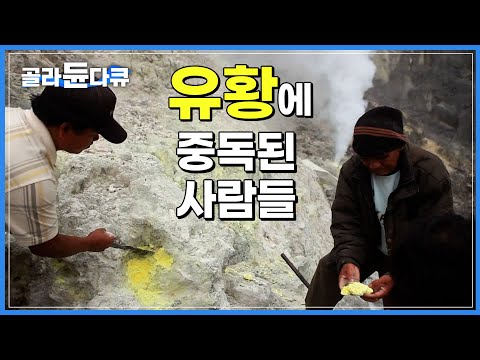 독성이 있지만 신비의 가루라며 입으로 씹어서 피부에 바르고, 요리에도 넣어 먹는 인도네시아 <strong>수마트라</strong> 섬사람들, 유황 없인 못 살아!│세계테마기행│#골라듄다큐