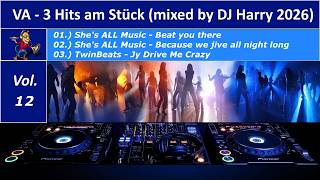VA - 3 Hits am Stück Vol. 12 (mixed by DJ Harry 2026)