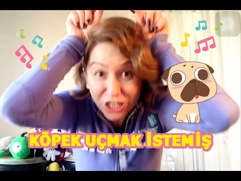 Köpek Uçmak İstemiş Çocuk Şarkısı | Anaokulu Şarkıları | Bebek Şarkıları | Children Songs