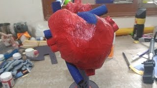 HOW TO MAKE A HUMAN HEART REALISTIC MODEL FOR PROJECT PURPOSE