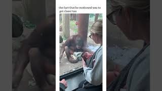 The last thing I honestly could’ve imagined