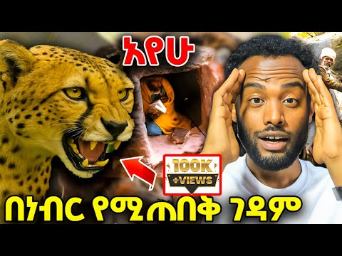 🛑 በነብር የሚጠበቅ ገዳም !! ለአይኔ ጉድ አሳየሁት!! #ethiopia #orthodox #travel #veronica #tmc #ebs