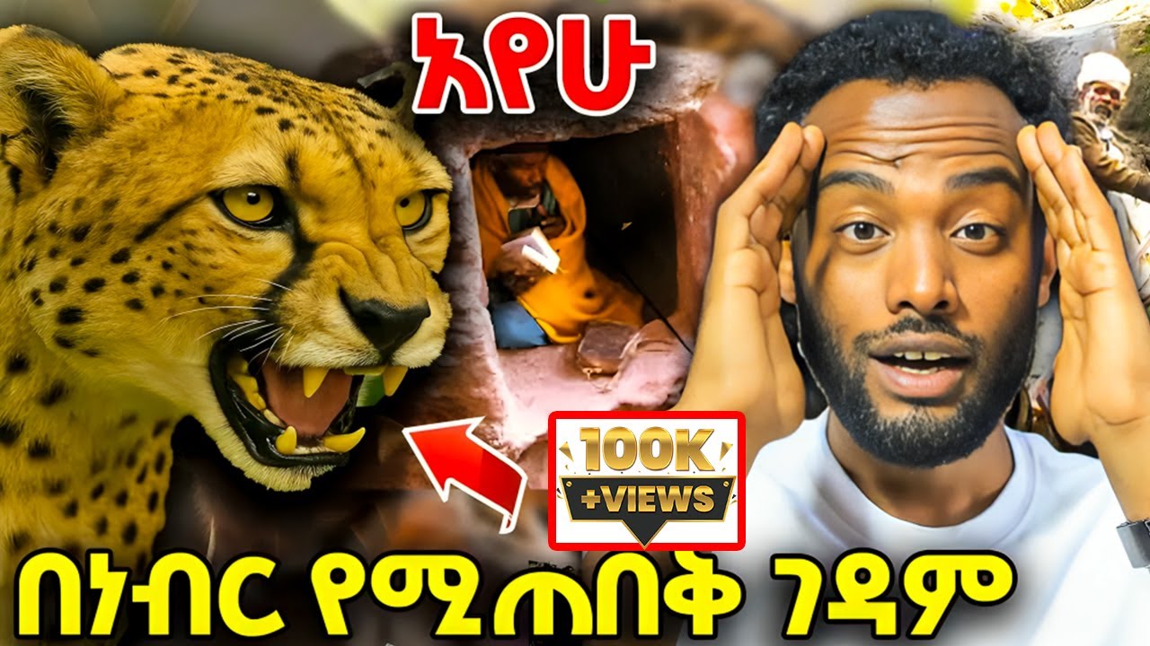 🛑 በነብር የሚጠበቅ ገዳም !! ለአይኔ ጉድ አሳየሁት!! #ethiopia #orthodox #travel #veronica #tmc #ebs