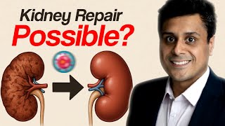 Stem Cell Therapy - Reverse your Kidney Disease? | New Treatment #stemcellstherapy