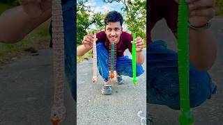 Rc Snake Our Rc Centipede